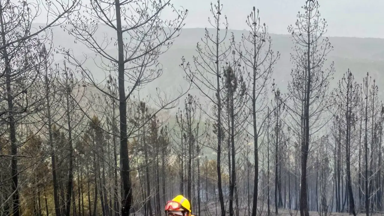 Un bombero del servicio de extinci&oacute;n del BRIF de Ruente camina por el bosque calcinado. / BRIF Ruente