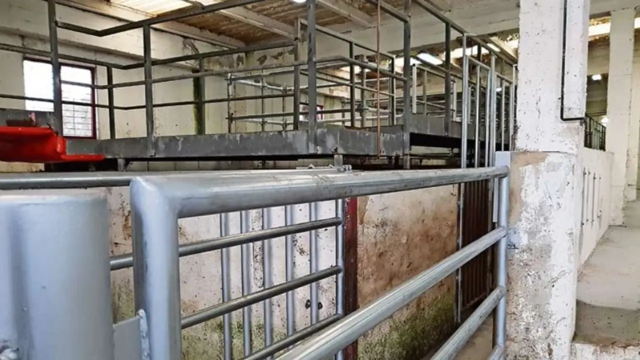 Interior del matadero comarcal de Torrelavega. / ALERTA