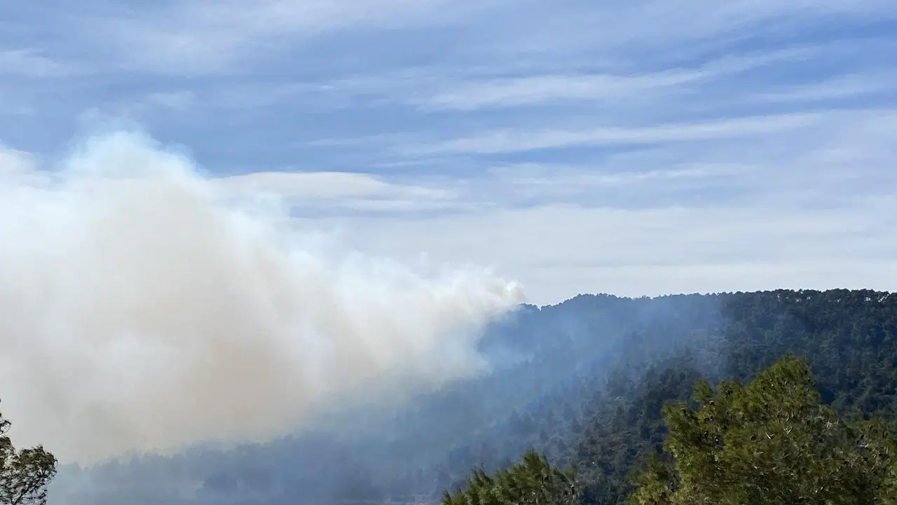 Incendio forestal