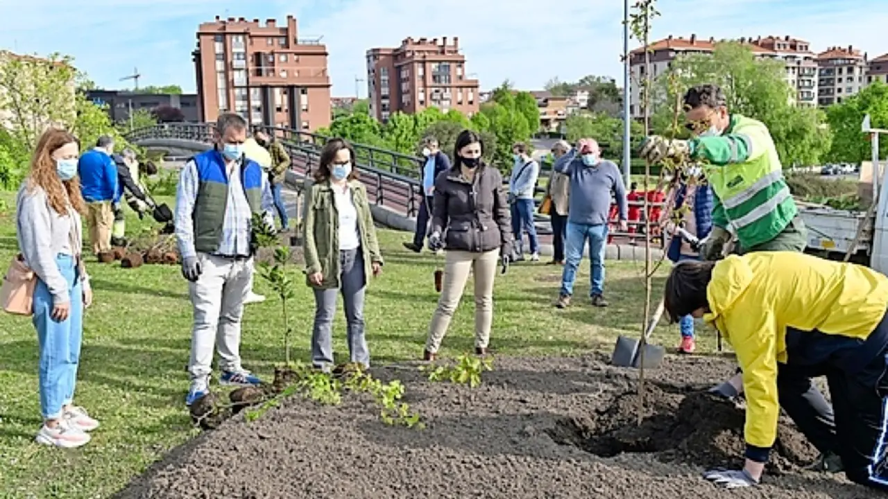 Un momento de la plantaci&oacute;n. / ALERTA