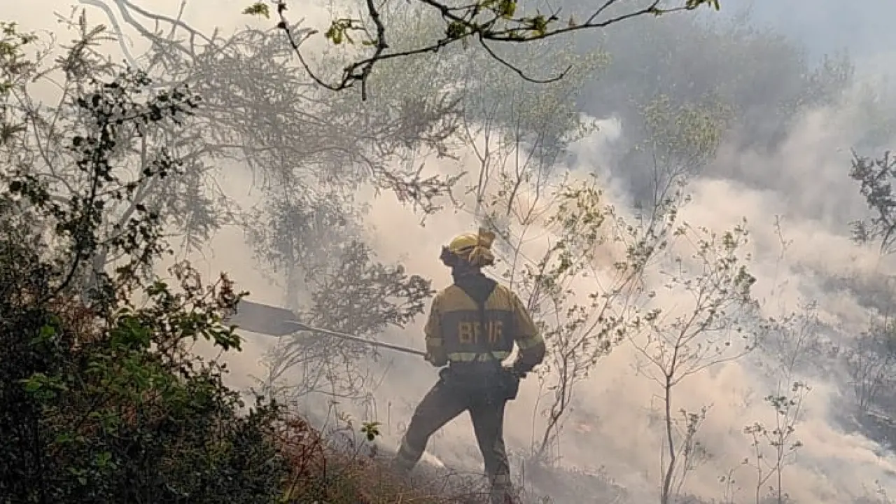 Un operario del BRIF de Ruente durante las labores de extinci&oacute;n de incendios.