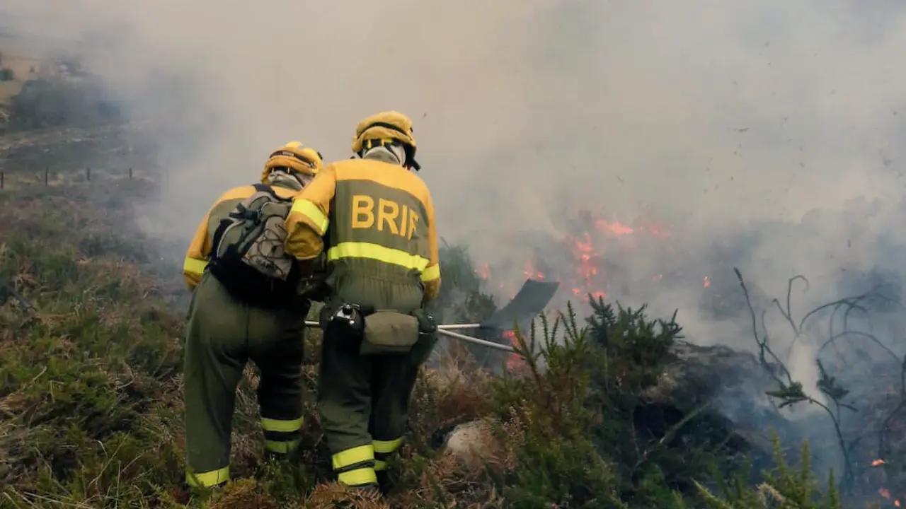 Dos operarios del BRIF durante las labores de extinci&oacute;n de los incendios. / ALERTA