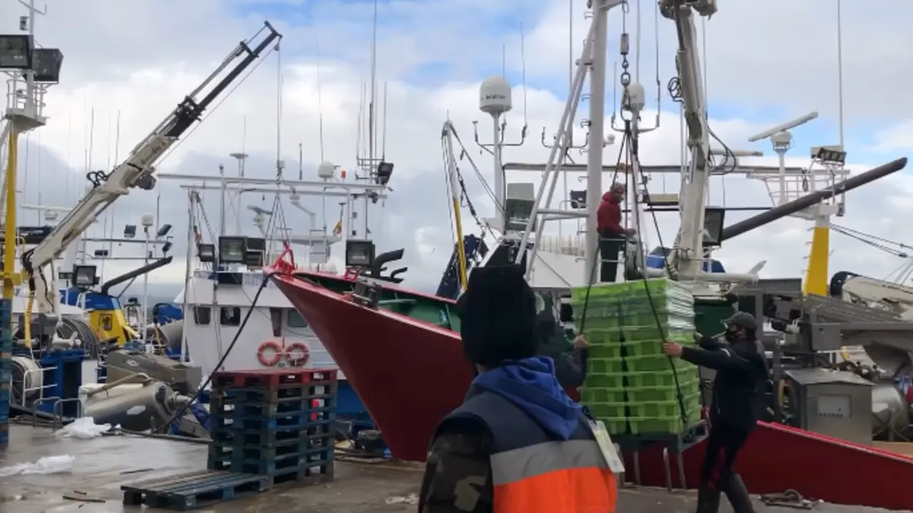 Los barcos con sus pescadores desembarcan en el puerto de Santo&ntilde;a. / ALERTA