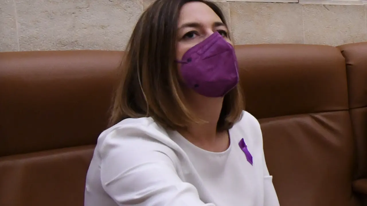 La consejera de Econom&iacute;a, Mar&iacute;a S&aacute;nchez durante una sesi&oacute;n parlamentaria. / Hardy