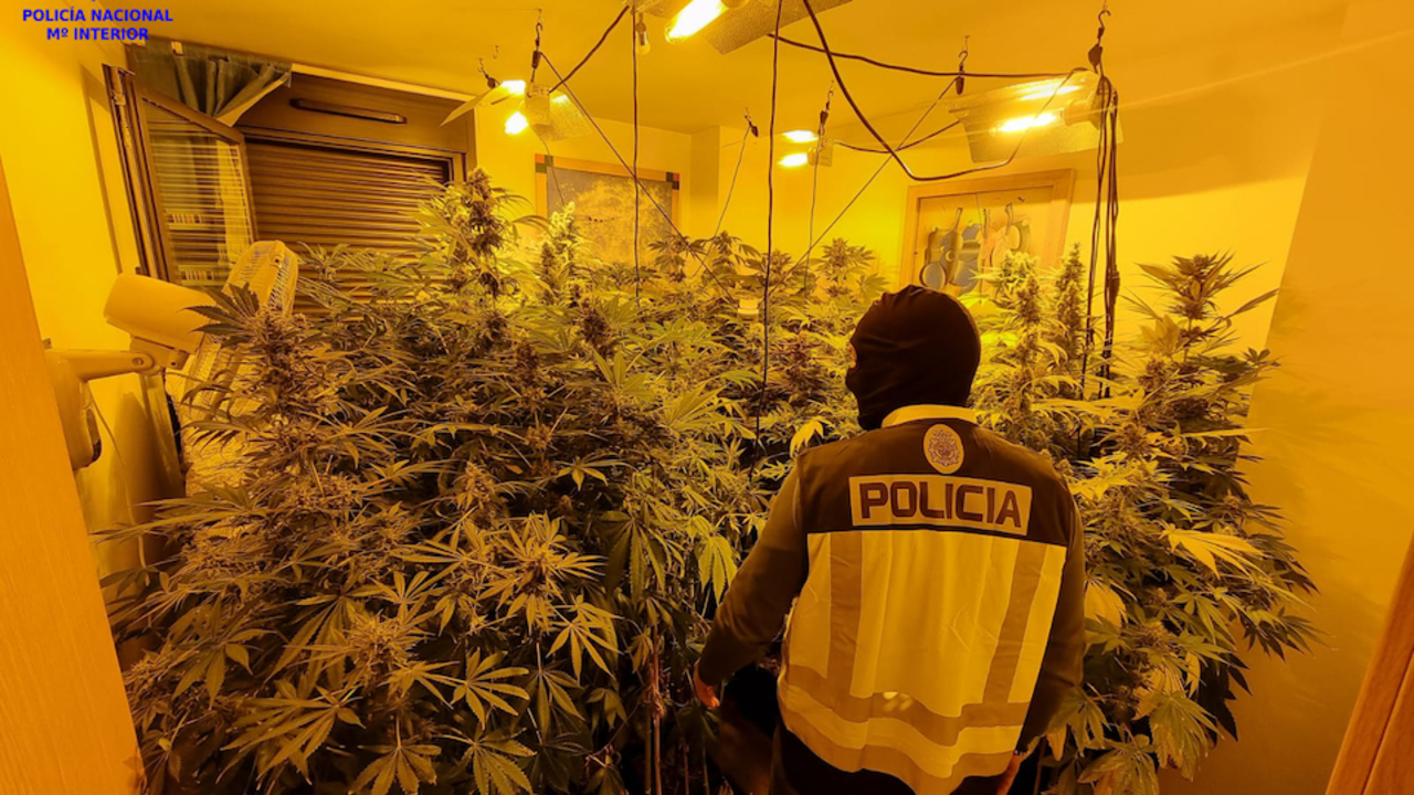 Un agente delante del alijo incautado de marihuana. / CNP