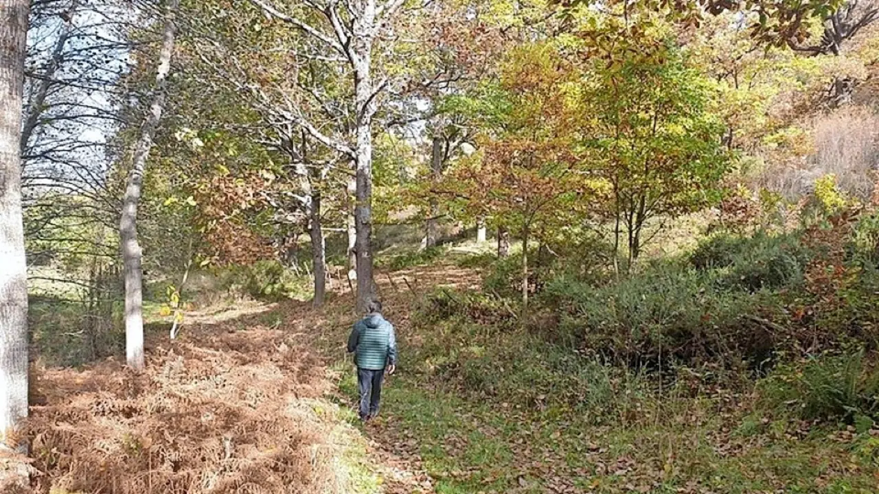 Sendero deportivo. / ALERTA
