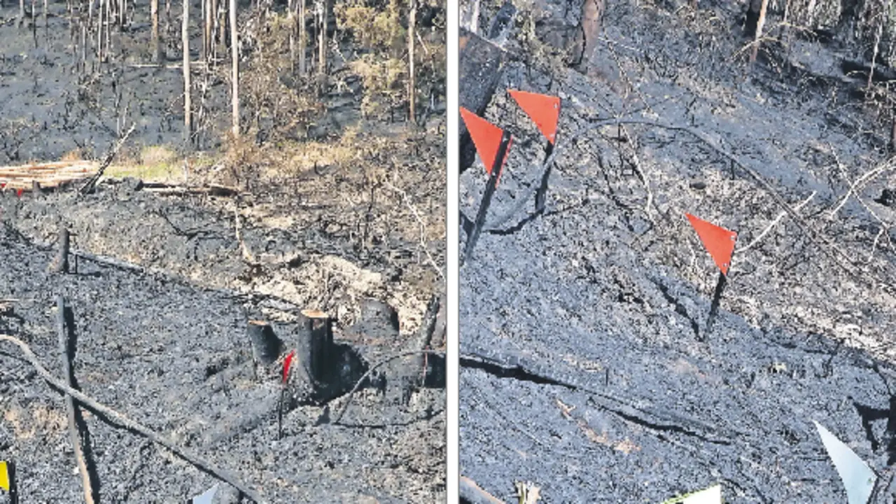 Ambos afectaron a 20 hect&aacute;reas de arbolado y monte bajo. / G. CIVIL