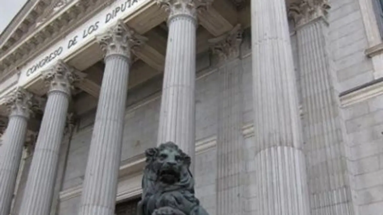 Archivo - Le&oacute;n del Congreso