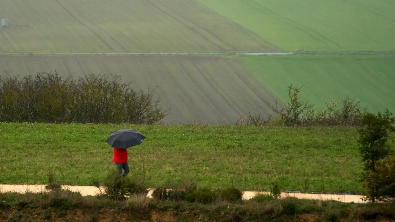 Una persona se refugia con un paraguas de la lluvia en Vitoria