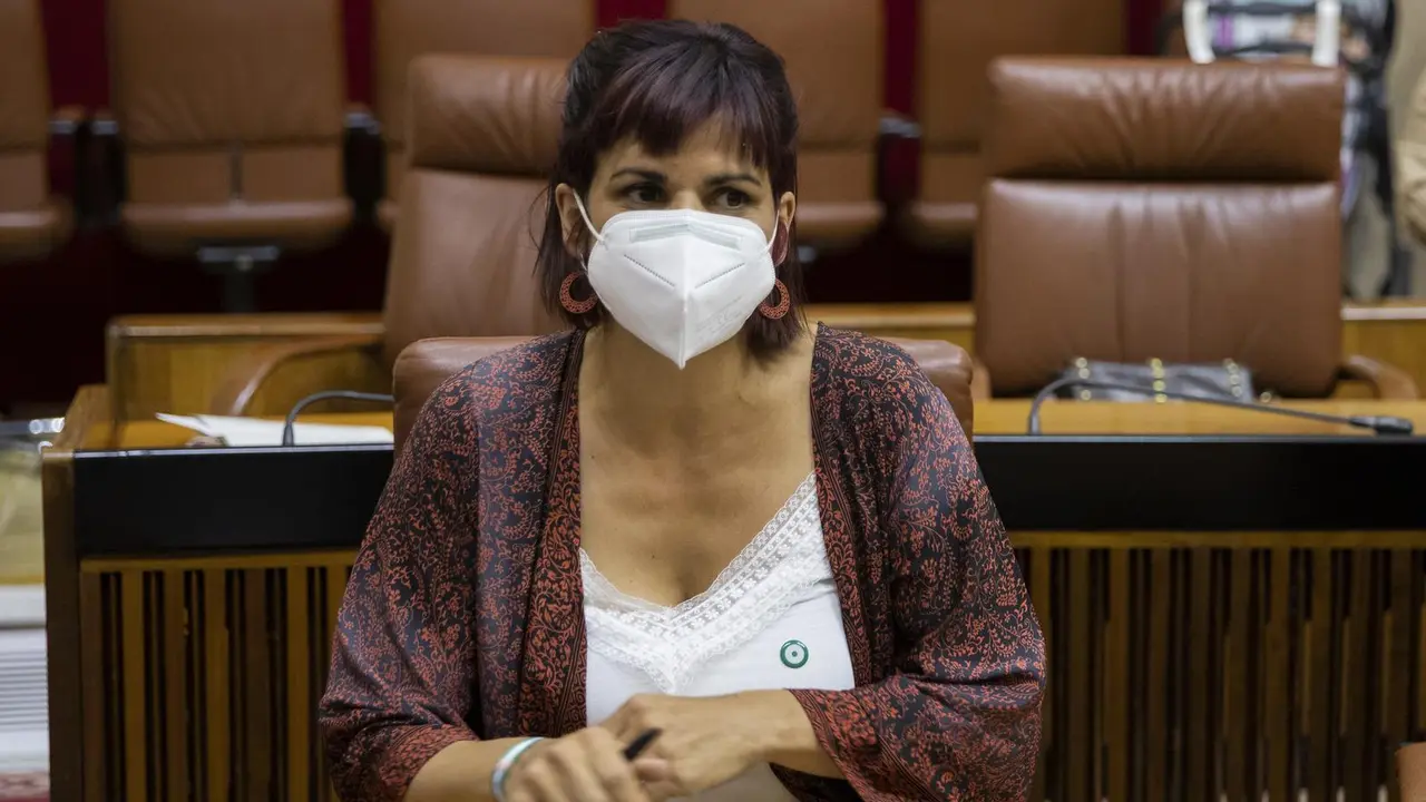 La diputada no adscrita Teresa Rodr&iacute;guez