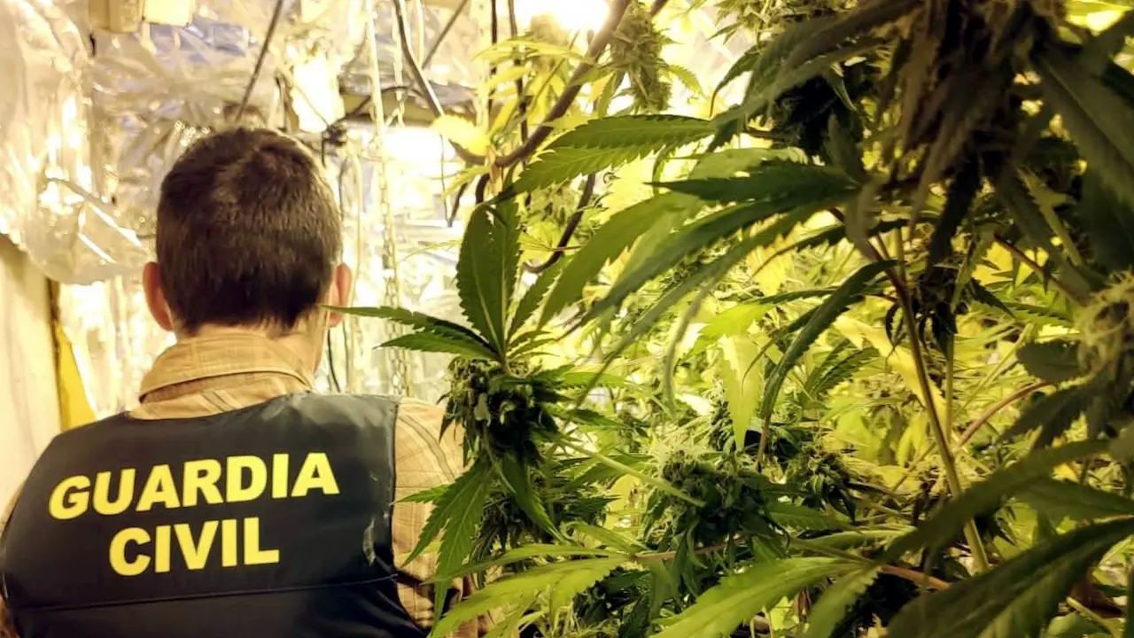 Un agente de la Guardia Civil durante la operaci&oacute;n antidroga. / OPC