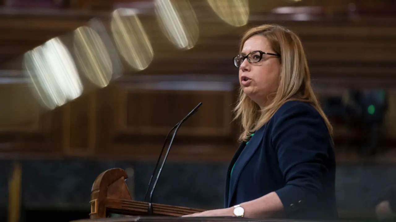 La diputada del PP por Cantabria, Elena Castillo durante su intervenci&oacute;n. / ALERTA