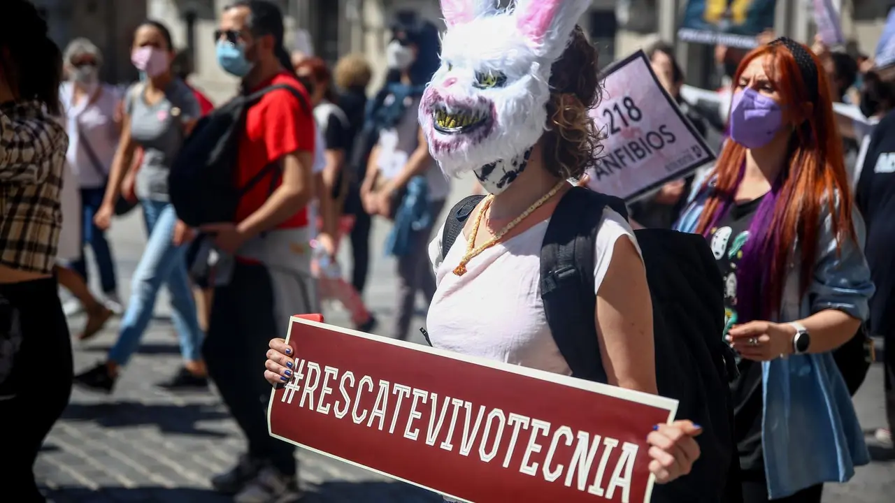 Varias personas participan en una manifestaci&oacute;n para exigir el rescate de los animales de Laboratorios Vivotecnia, a 29 de mayo de mayo de 2021, en Madrid (Espa&ntilde;a). 