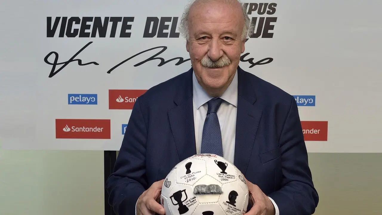 Archivo - Vicente del Bosque