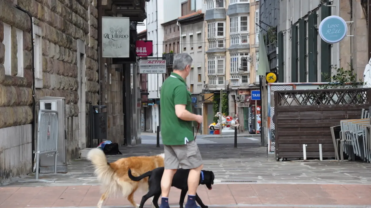Un torrelaveguense paseando al perro por la plaza roja. / S. D&iacute;az