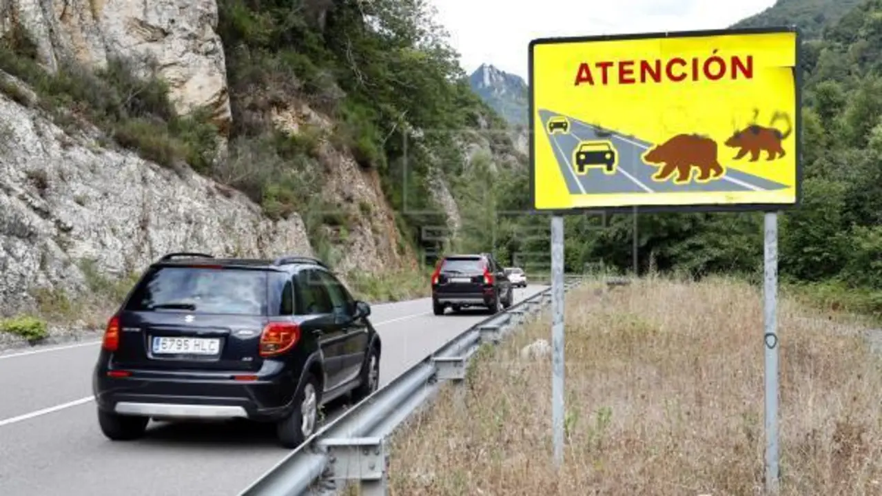 Vista de un cartel de atenci&oacute;n a los animales. / ALERTA