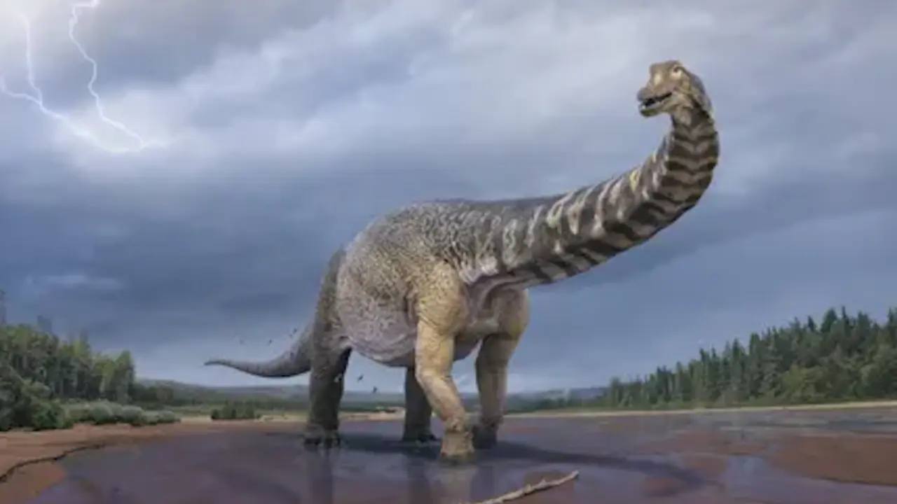 Una ilustraci&oacute;n de "Cooper", el mayor dinosaurio encontrado en Australia. Sus huesos se descubrieron en la cuenca de Eromanga, en el suroeste de Queensland. Fotograf&iacute;a: Vlad Konstantinov/Museos de Historia Natural de Queensland y Eromanga