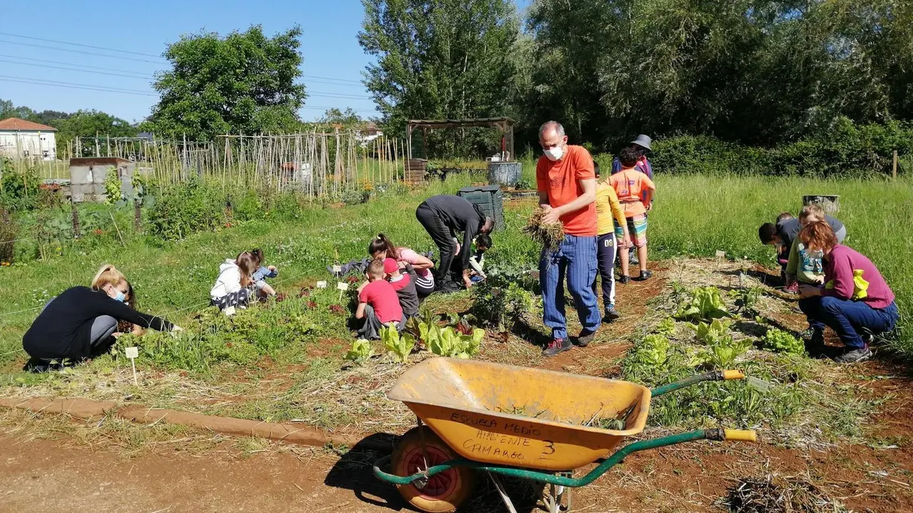 Taller de agricultura en las huertas municipales