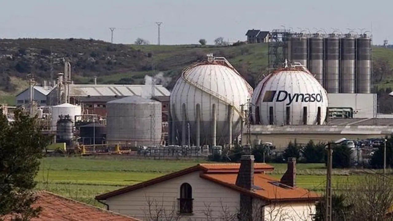 dynasol-575x323