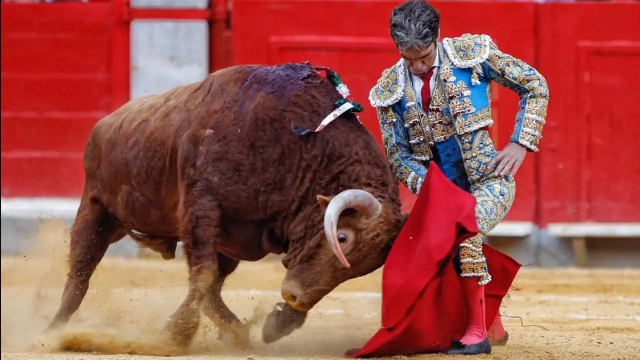Jos&eacute; Tom&aacute;s en la plaza de Toros de Santander. / E. P.