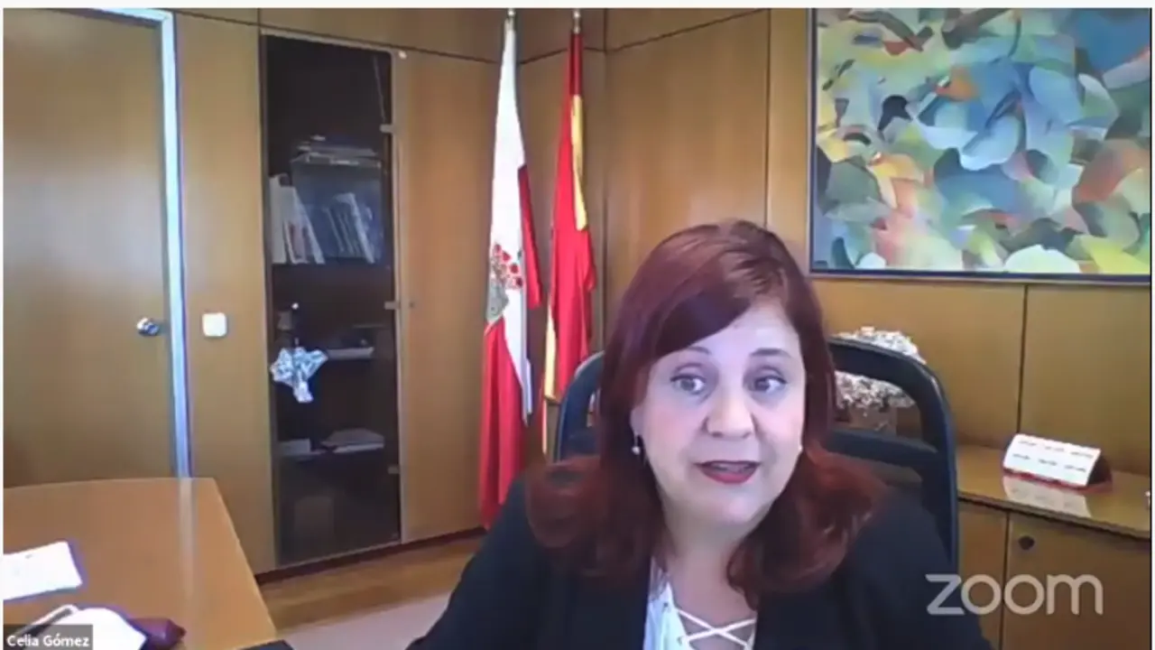 La gerente del Servicio C&aacute;ntabro de Salud (SCS), Celia G&oacute;mez.