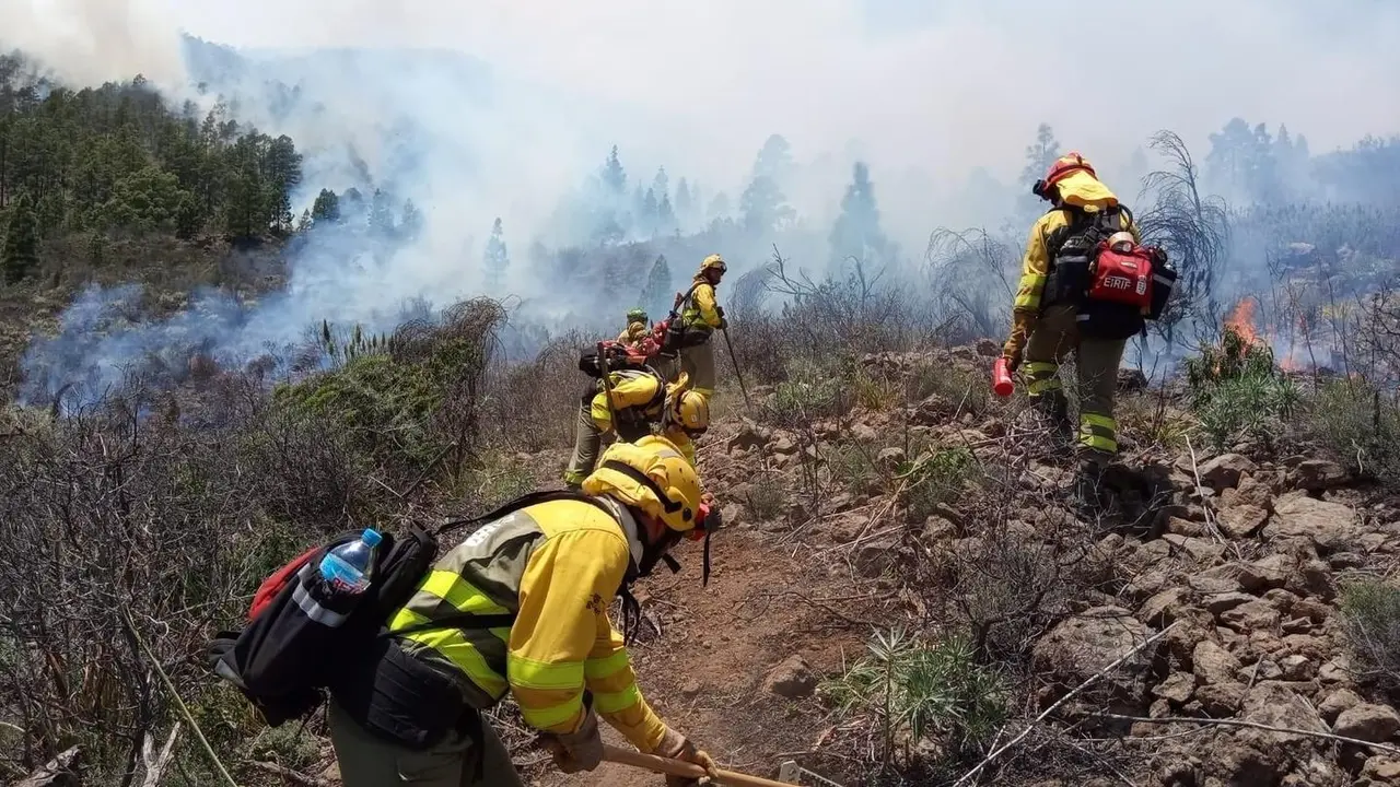 Agentes forestales trabajan en el incendio de Arico