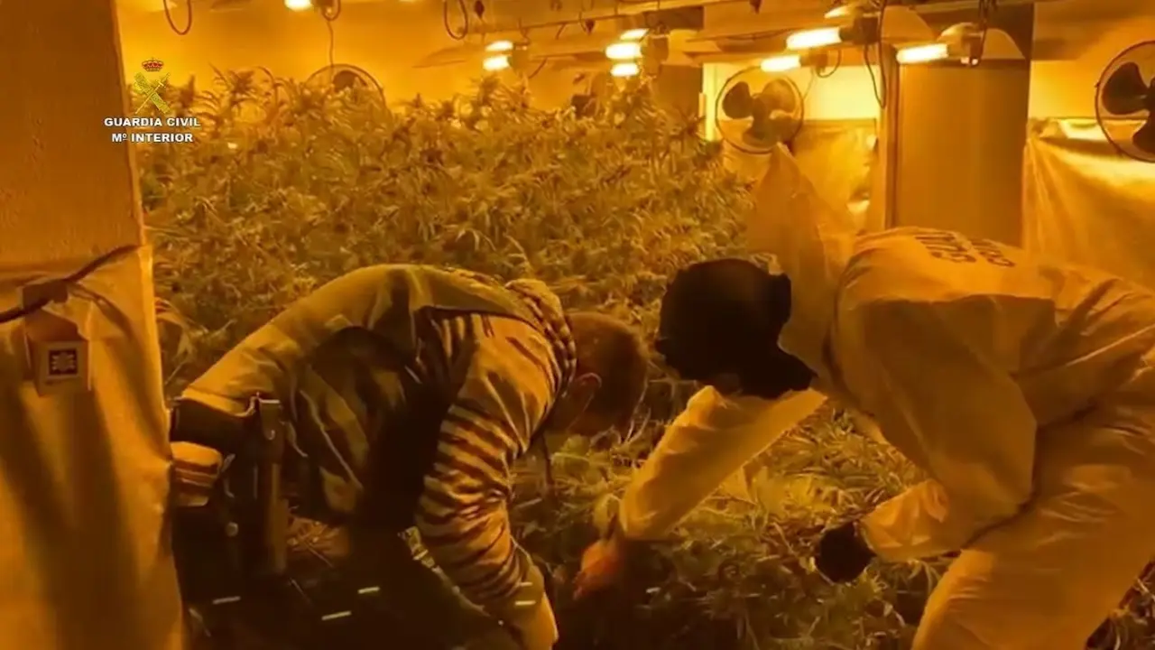 Archivo - Foto de archivo de unos guardias civiles en una intervenci&oacute;n en una plantaci&oacute;n de marihuana indoor en una vivienda