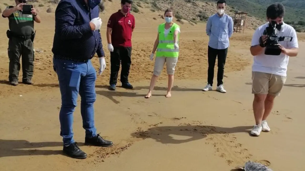 Liberan a una tortuga en Calblanque tras ser tratada en el centro de recuperaci&oacute;n