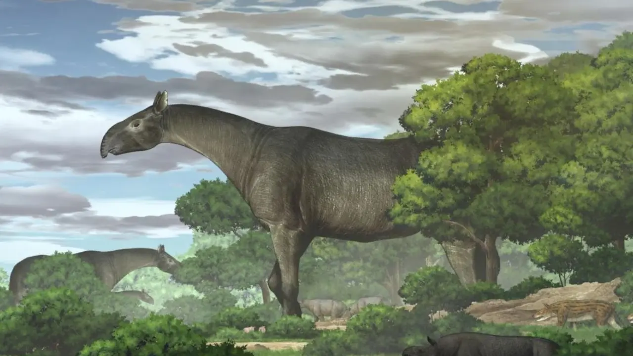 RECONSTRUCCI&Oacute;N ECOL&Oacute;GICA DE RINOS GIGANTES Y SU FAUNA ACOMPA&Ntilde;ANTE EN LA CUENCA DE LINXIA DURANTE EL OLIGOCENO