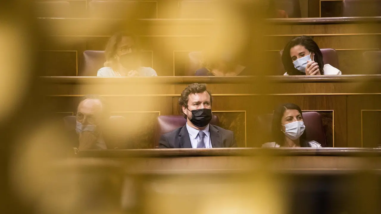 El portavoz de Vox en el Congreso, Iv&aacute;n Espinosa de los Monteros, durante una sesi&oacute;n plenaria en el Congreso de los Diputados.