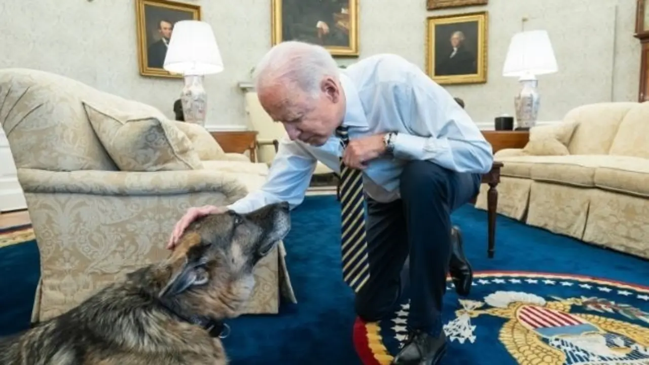 Champ, uno de los perros del presidente Joe Biden