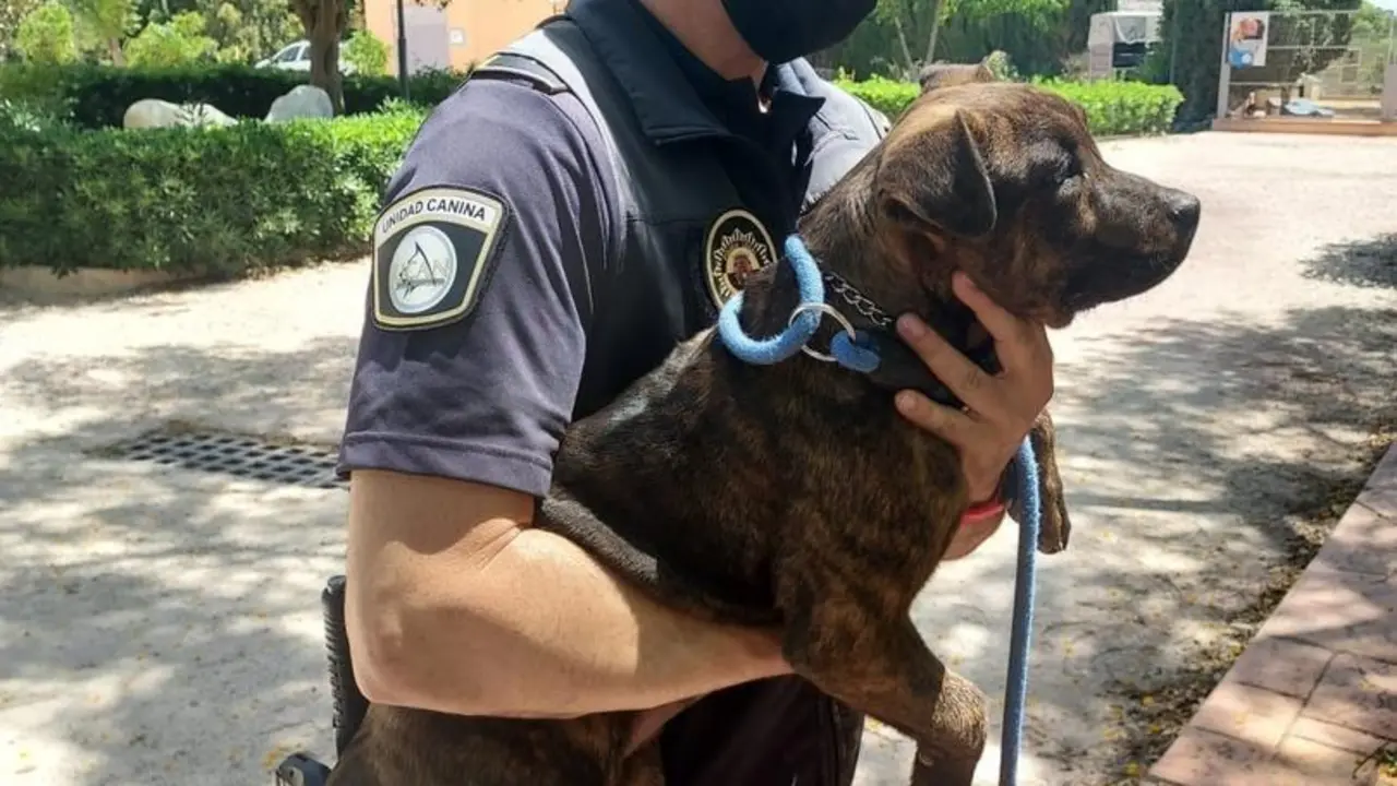 La Unidad Canina de la Polic&iacute;a Local rescata a un perro encerrado en un garaje sin agua y a pleno sol