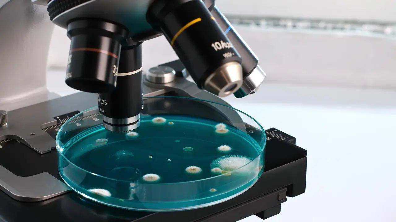 Archivo - Microscopio