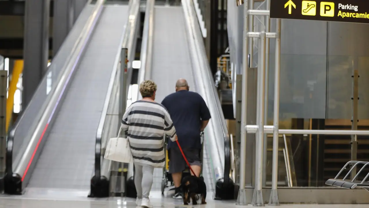 Archivo - Una pareja con un perro se dispone a subir unas escaleras mec&aacute;nicas en el Aeropuerto Madrid-Barajas.