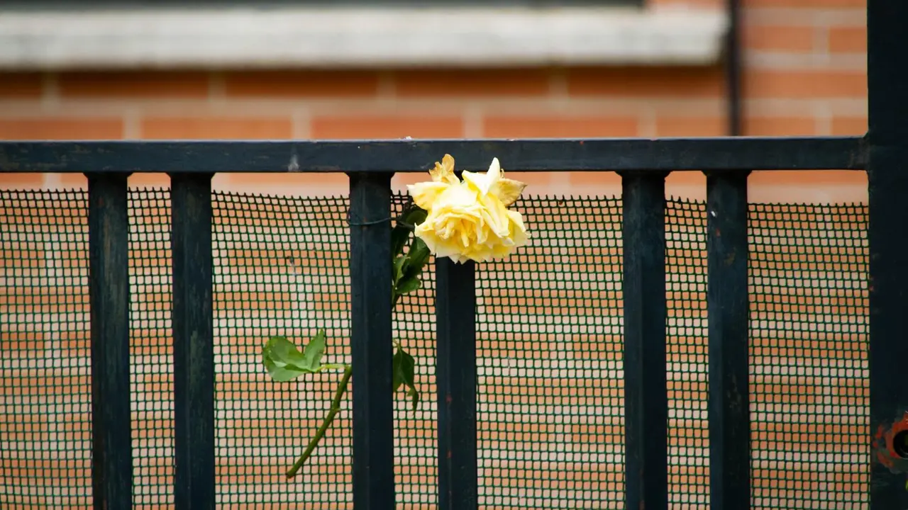 Imagen de una flor en el domicilio de la v&iacute;ctima