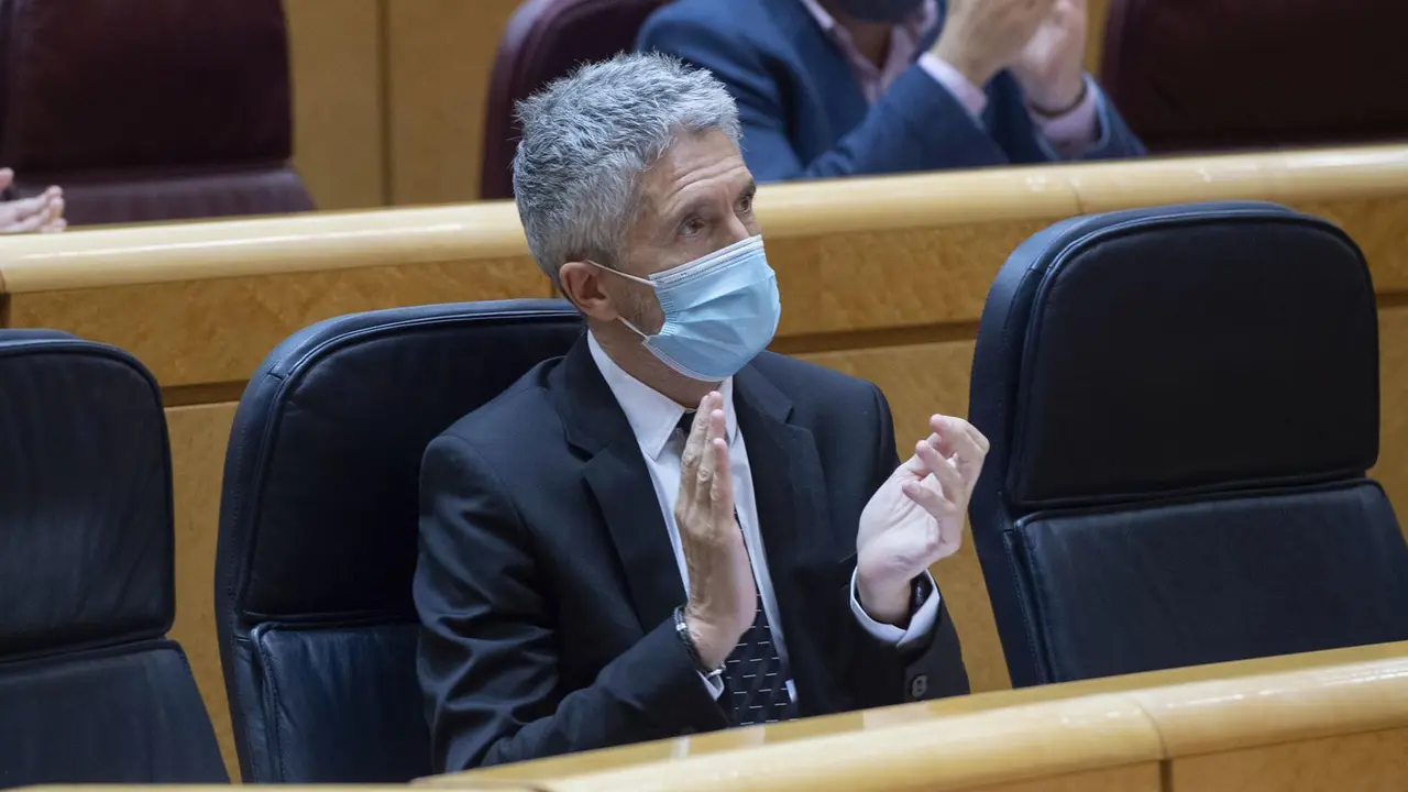 El ministro de Interior, Fernando Grande-Marlaska, durante una sesi&oacute;n de control al Gobierno en el Senado