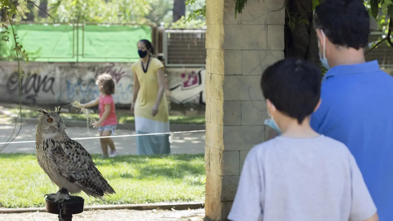 Un ni&ntilde;o y su padre observan un b&uacute;ho en El Escorial.