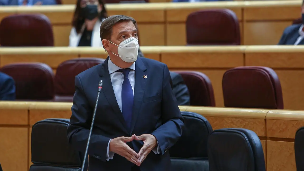 El ministro de Agricultura, Pesca y Alimentaci&oacute;n, Luis Planas, en una sesi&oacute;n de control al Gobierno el pasado 8 de junio en el Senado