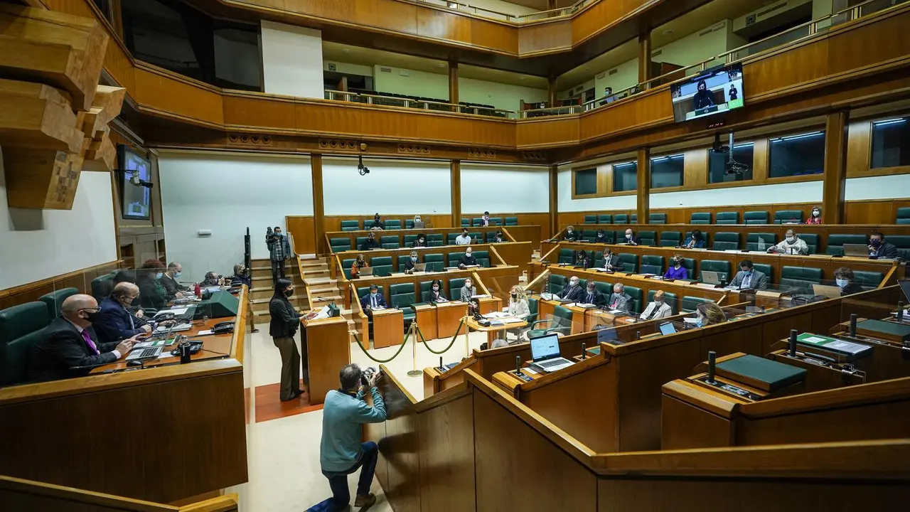 Archivo - PNV y PSE rechazan una propuesta que ped&iacute;a soluciones para las personas con enfermedad mental "excluidas" de la RGI