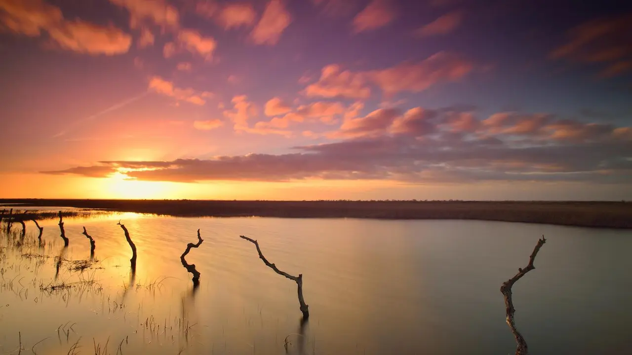 Archivo - Humedal del Parque Nacional de Do&ntilde;ana (Huelva).