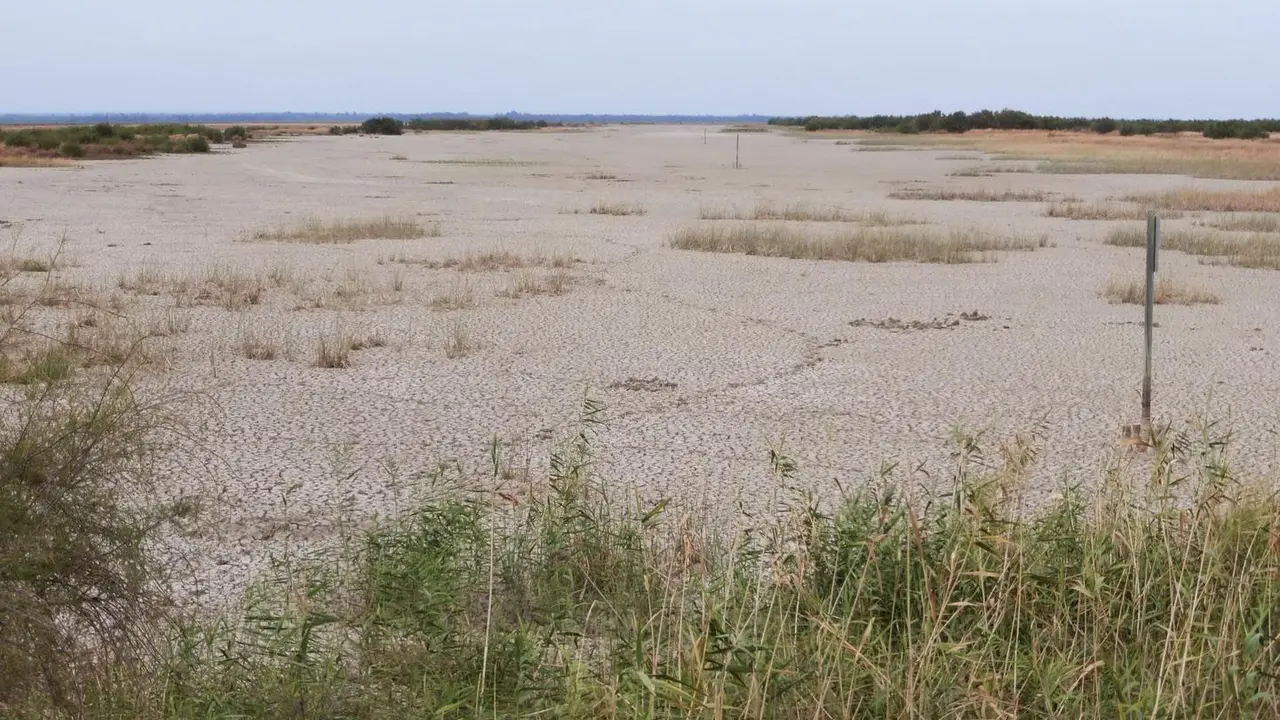 Imagen de Do&ntilde;ana.