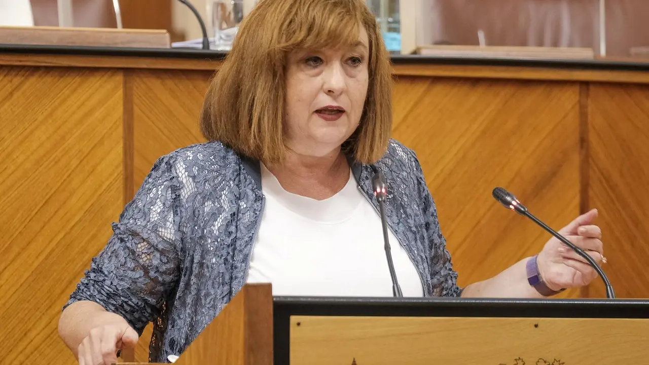 La parlamentaria del PSOE-A Soledad P&eacute;rez, en el Pleno del Parlamento andaluz este jueves.
