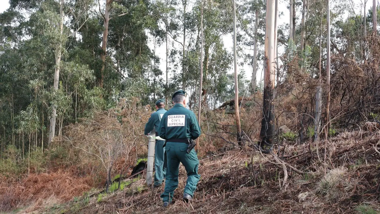 Archivo - Inspecci&oacute;n ocular en el incendio forestal declarado en Covadonga.