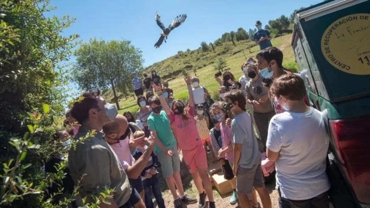 Suelta de aves en el marco del programa de voluntariado 'Ay&uacute;dale a volar' y de ejemplares atendidos en el Centro de Recuperaci&oacute;n de Fauna Silvestre de La Fombera.