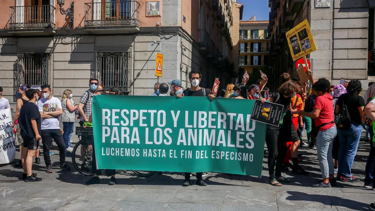 Varias personas participan en una manifestaci&oacute;n para exigir el rescate de los animales de Laboratorios Vivotecnia, a 29 de mayo de mayo de 2021, en Madrid (Espa&ntilde;a). 