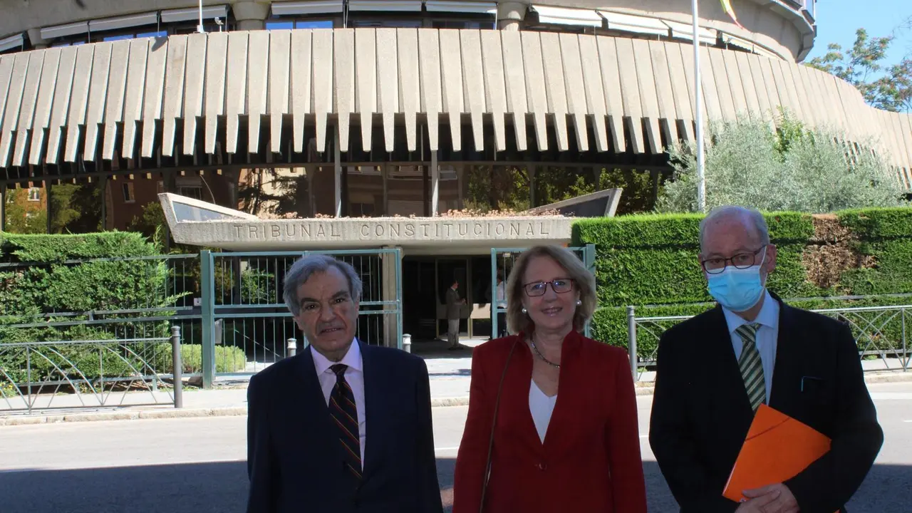 Luis Peral, Exsenador; Lourdes Mendez, Diputada; Y Jos&eacute; Eugenio Azpiroz, Exdiputado, Ante El TC