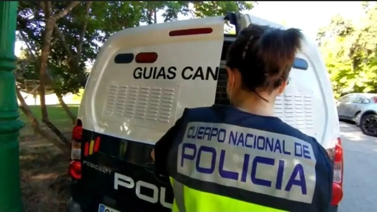 Registran la casa de Jos&eacute; Luis Moreno con perros especializados en buscar dinero escondido