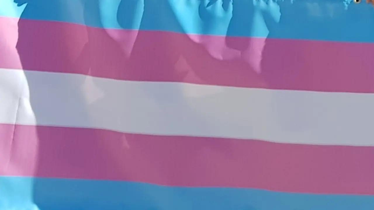 Archivo - Colores de la bandera trans
