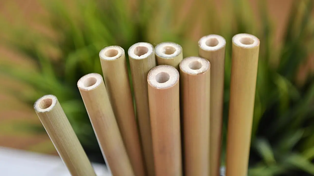 Archivo - Pajitas de bambu de Packawin