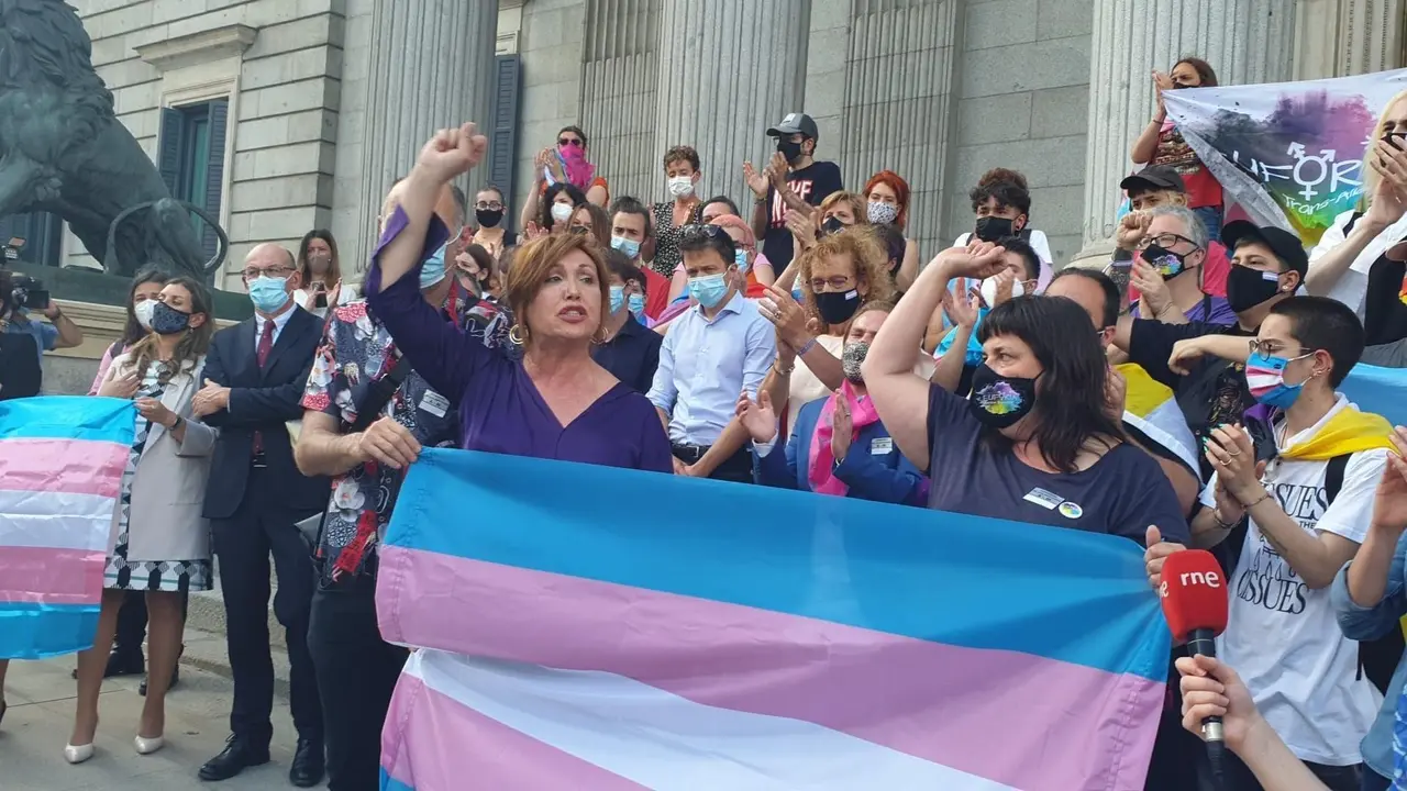 La presidenta de la Plataforma Trans, Mar Cambroll&eacute;, ante el Congreso